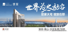 深圳豪宅市场的注目之星——深业山谷